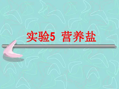 营养盐