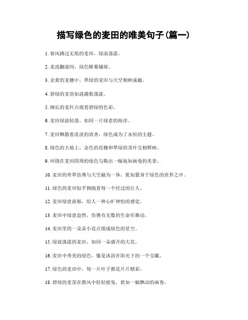 描写绿色的麦田的唯美句子(精选2篇)