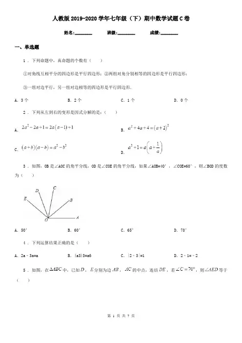 人教版2019-2020学年七年级(下)期中数学试题C卷