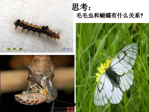 青春期教育讲座(男生)ppt课件
