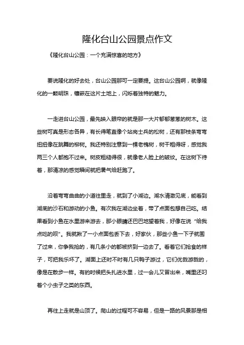 隆化台山公园景点作文
