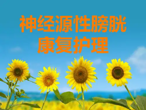 神经源性膀胱护理PPT课件