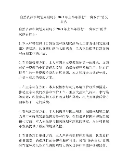 自然资源和规划局副局长2023年上半年履行“一岗双责”情况报告