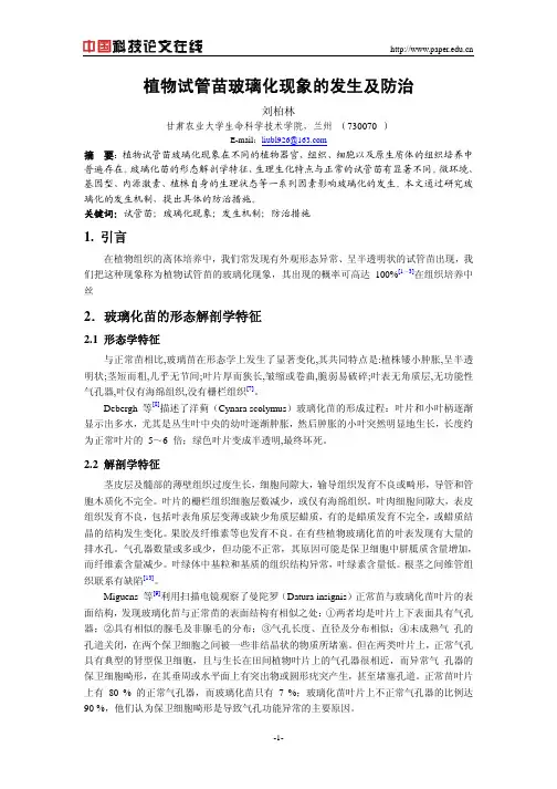植物试管苗玻璃化现象的发生及防治