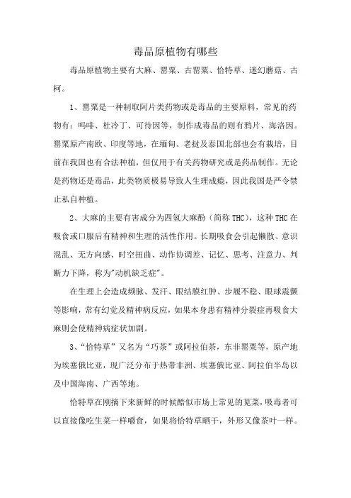 毒品原植物有哪些