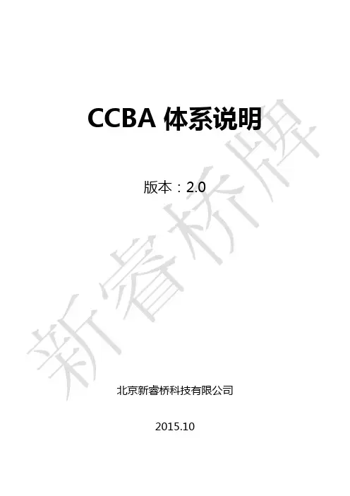 新睿CCBA2.0体系说明_v1.0