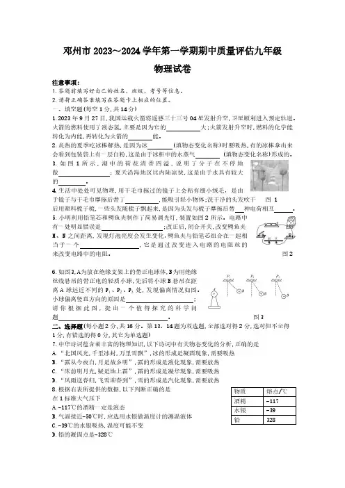 河南省南阳市邓州市2023-2024学年九年级上学期11月期中物理试题(含答案)