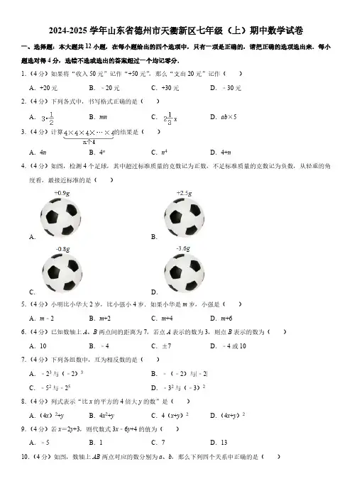2024-2025学年山东省德州市天衢新区七年级(上)期中数学试卷(含详解)