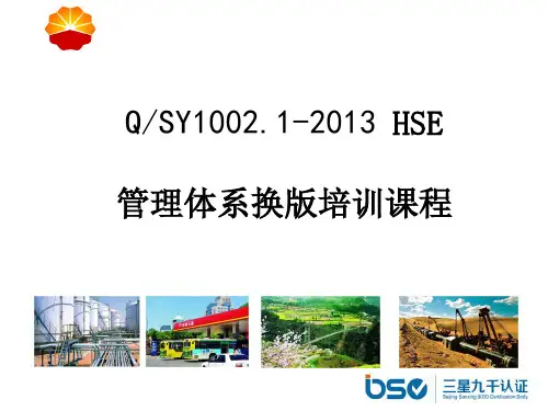中石油HSE管理体系13版