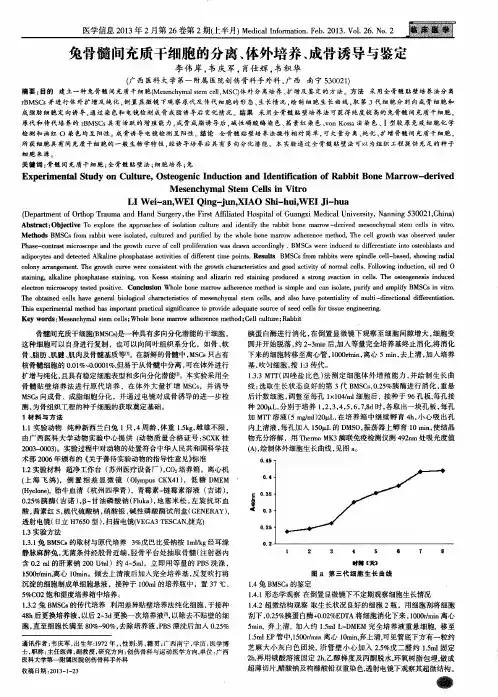 兔骨髓间充质干细胞的分离、体外培养、成骨诱导与鉴定