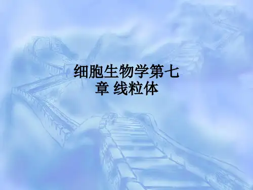 细胞生物学第七章 线粒体ppt课件