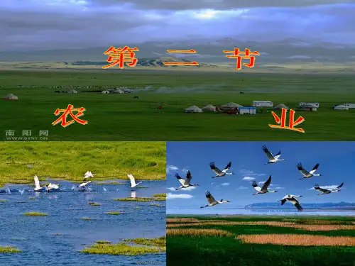 4.2农业(共51张PPT)