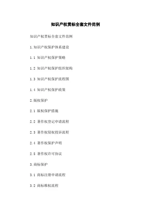 知识产权贯标全套文件范例