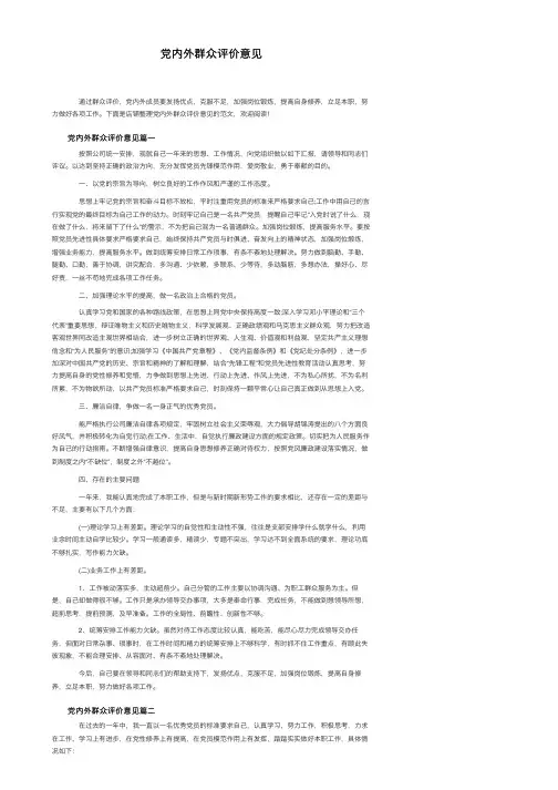 党内外群众评价意见
