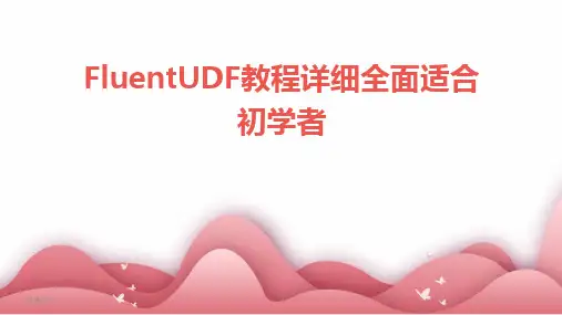 2024版年度FluentUDF教程详细全面适合初学者