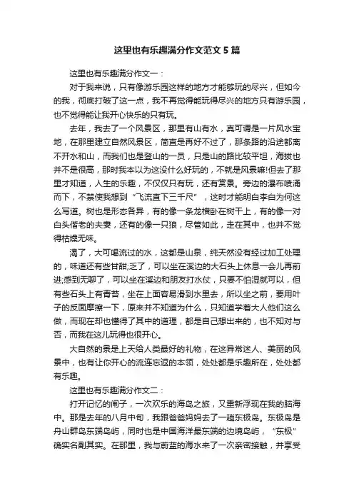 这里也有乐趣满分作文范文5篇