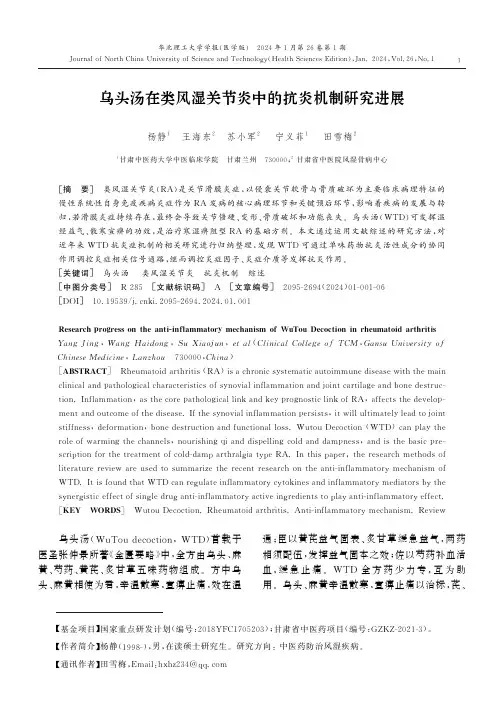 乌头汤在类风湿关节炎中的抗炎机制研究进展