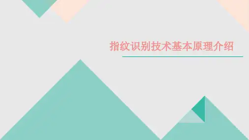 指纹识别技术基本原理介绍