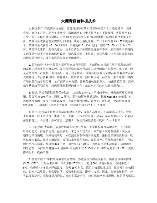 大棚青蒜苗种植技术