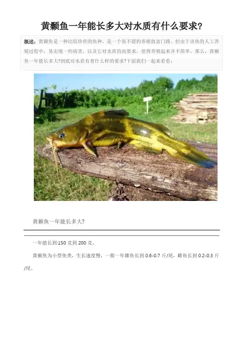 黄颡鱼一年能长多大对水质有什么要求