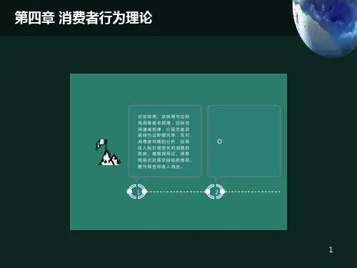 大学微观经济学经典课件第三章消费者行为理论
