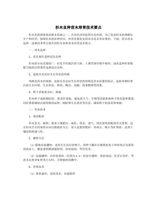杉木良种苗木培育技术要点