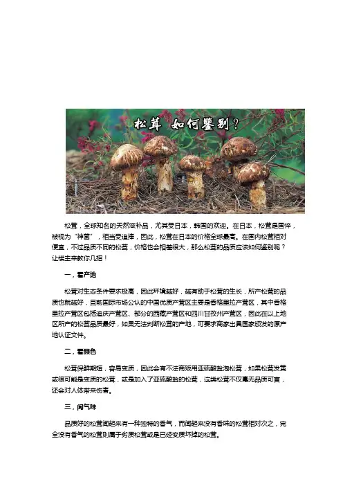贵皇优选9种方法教你选松茸