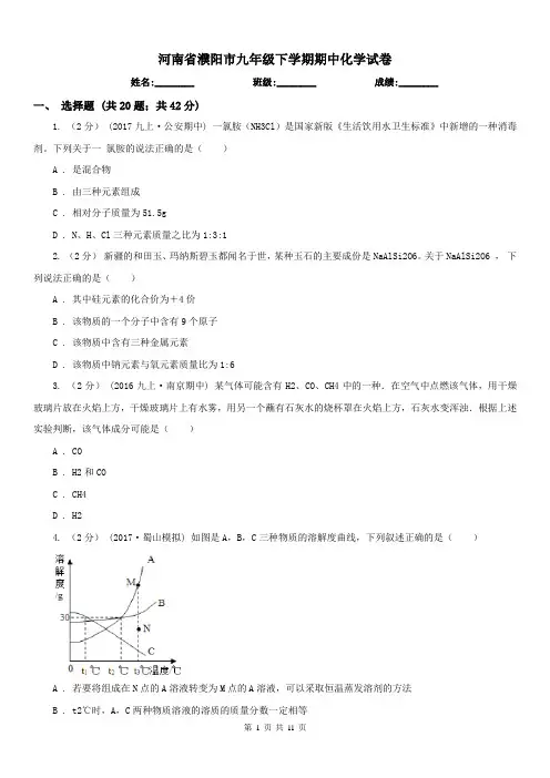河南省濮阳市九年级下学期期中化学试卷