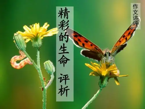 高中作文_作文讲评：精彩的生命评析