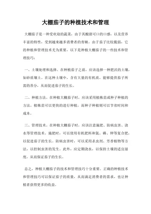 大棚茄子的种植技术和管理