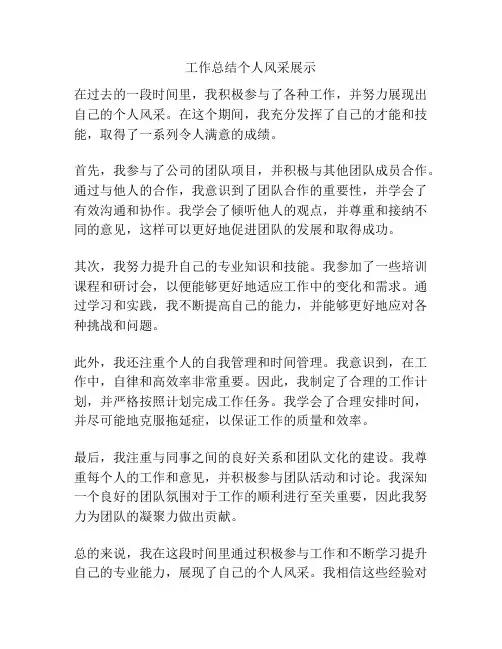 工作总结个人风采展示