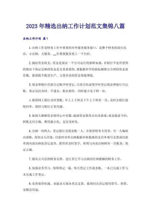 2023年精选出纳工作计划范文集锦八篇