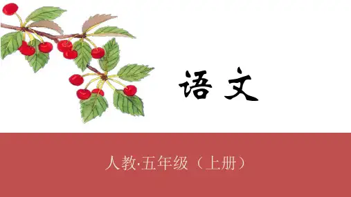 统编版五年级语文上册17松鼠课件(19张PPT)