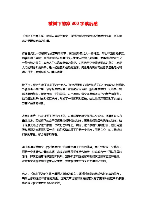槭树下的家800字读后感