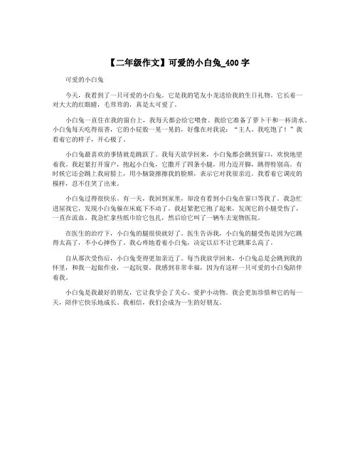 【二年级作文】可爱的小白兔_400字