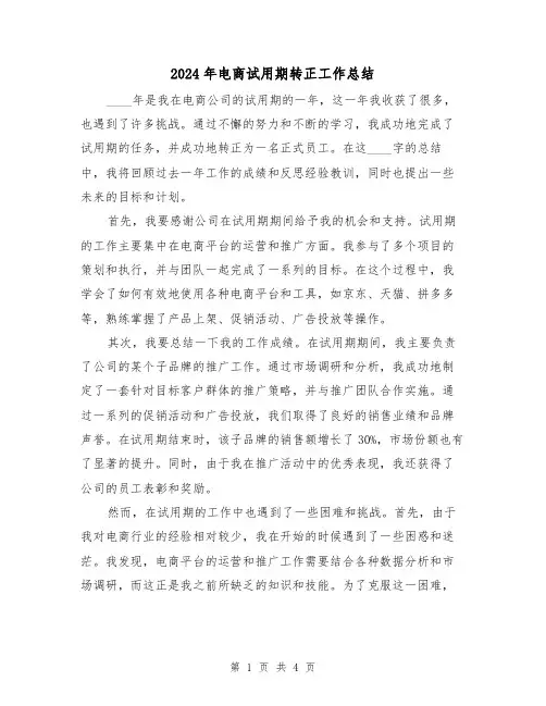 2024年电商试用期转正工作总结(2篇)