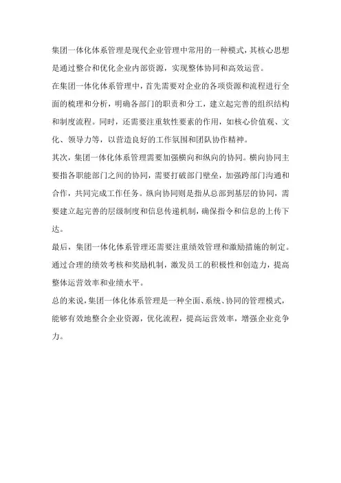 集团一体化体系管理