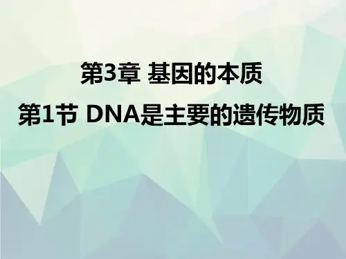 人教版高中生物必修二第三章第1节《DNA是主要遗传物质》(共30张PPT)
