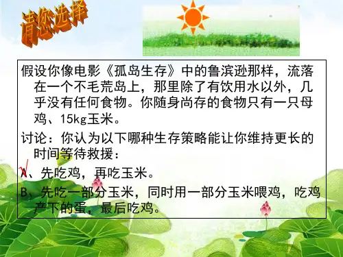 人教版高中生物必修三第5章第2节  生态系统的能量流动  课件(共15张PPT)精选优质 课件