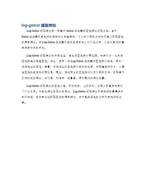 log-gabor 提取特征