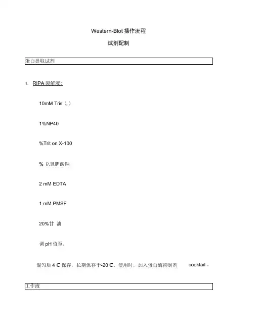 Westernblot试剂配制及操作流程