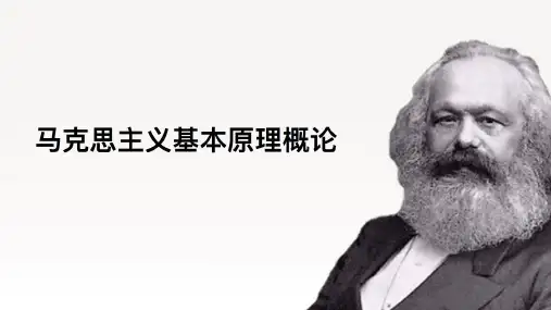 资本主义发展的历史进程