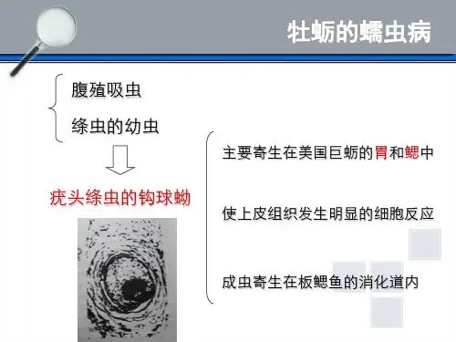 贝类疾病二 寄生虫病(2)