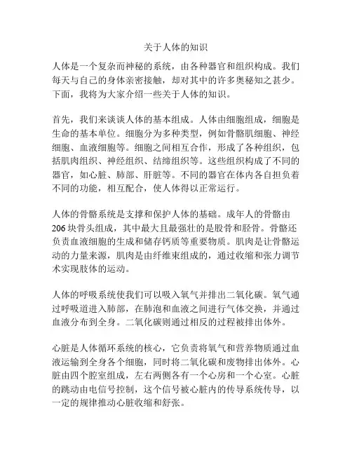 关于人体的知识
