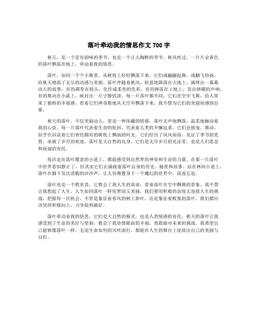落叶牵动我的情思作文700字