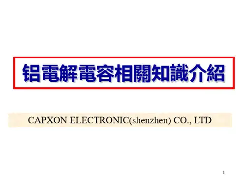 铝电解电容器培训教材(中文)(2)精品PPT课件