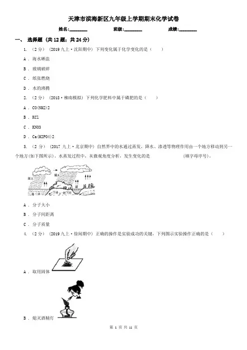 天津市滨海新区九年级上学期期末化学试卷