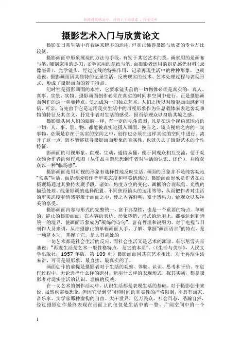 摄影艺术入门与欣赏论文