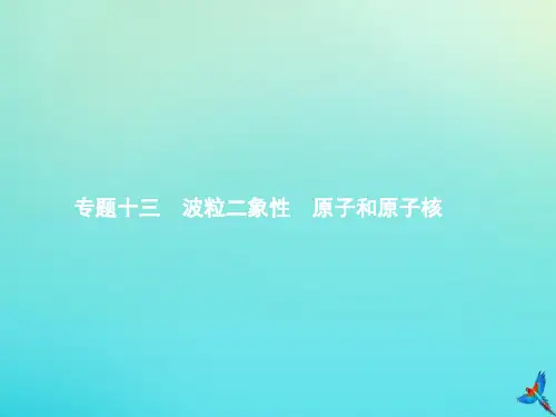 高考物理一轮复习专题十三波粒二象性原子和原子核课件