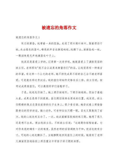 被遗忘的角落作文 2